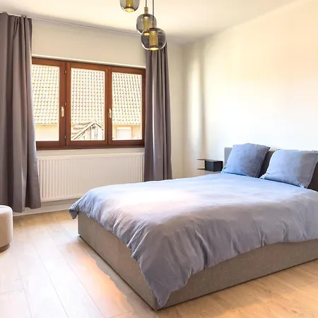 Spacious 4 Bedroom I Terrace I Parking Apartmán Monswiller